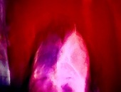 LVSPL